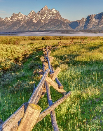 Teton Fence