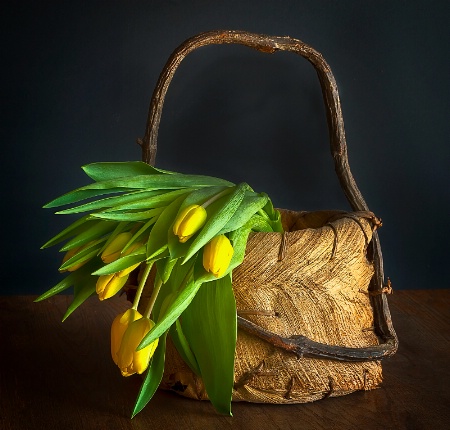 Basket Of Tulips