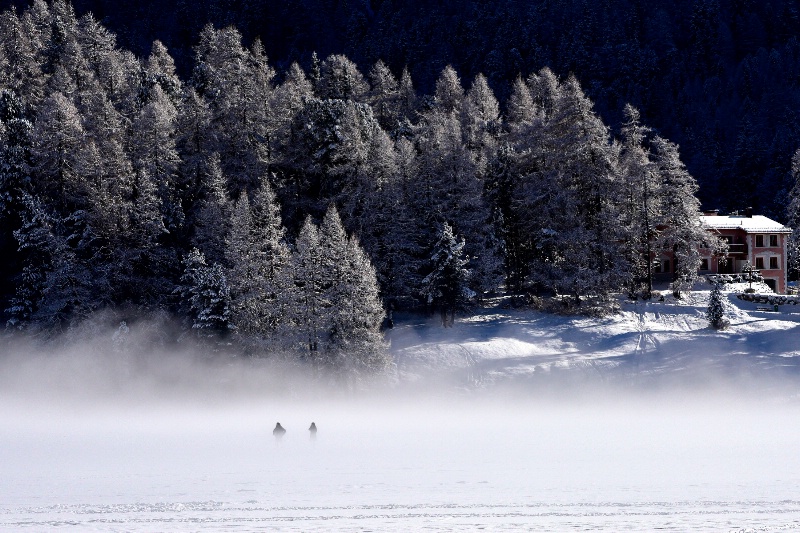 Lost in the fog