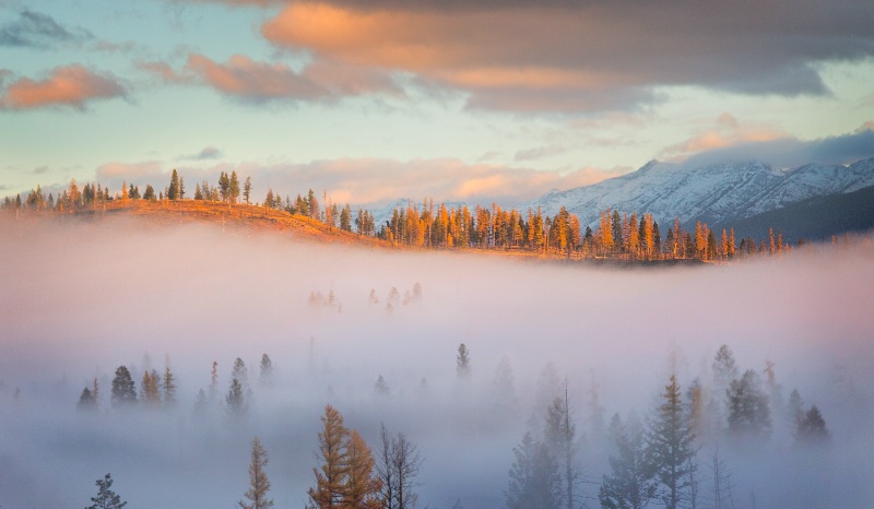 Sunrise and Fog