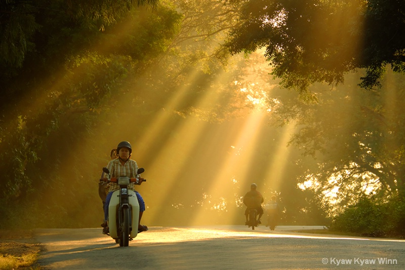 Golden Rays