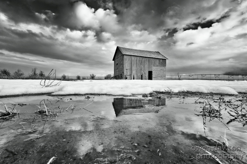 barn in a corn field