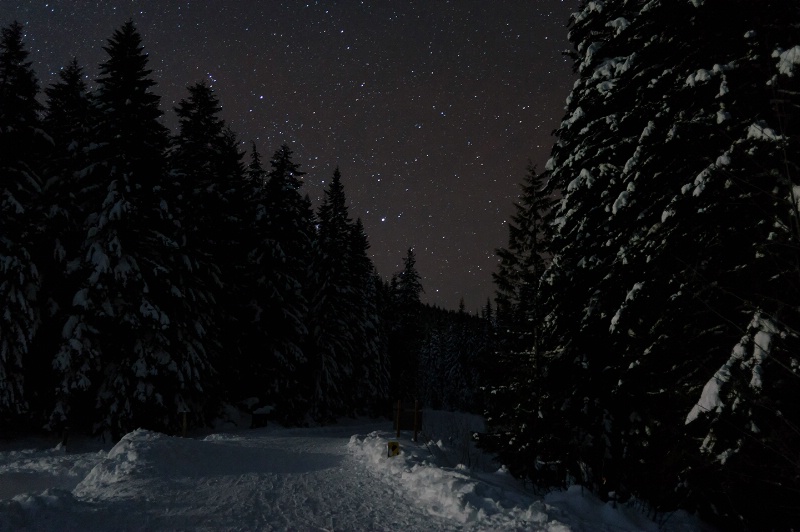 Trillium Lake Trail at night