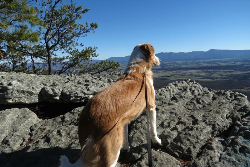 overlooking the valley