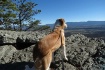 overlooking the v...
