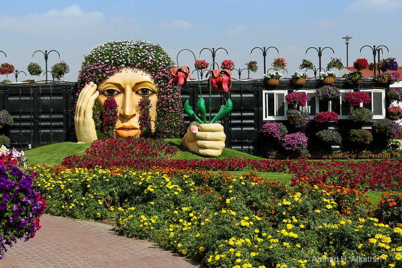 Miracle Garden, Dubai