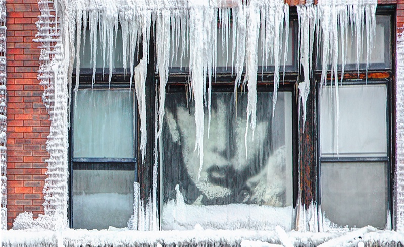 Lady in the Window