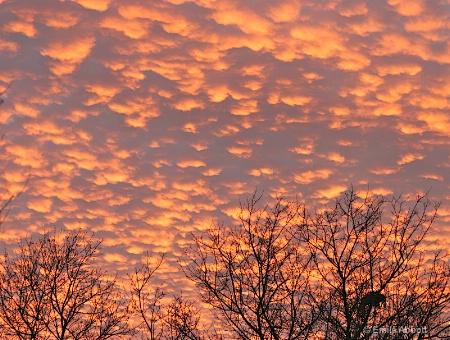 Texas sunset