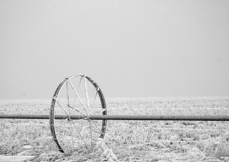Irrigation Wheel in Winter 
