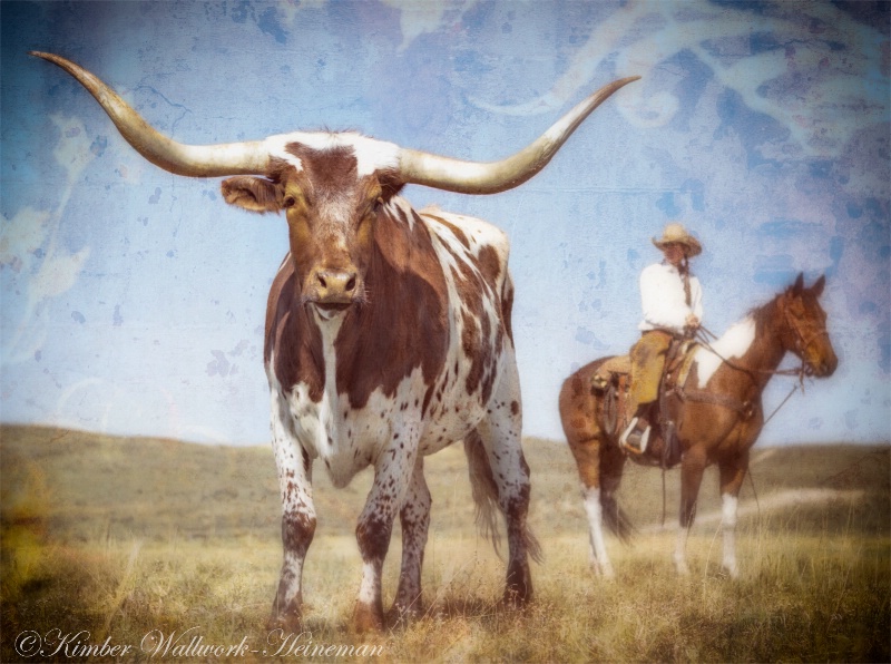 Longhorn