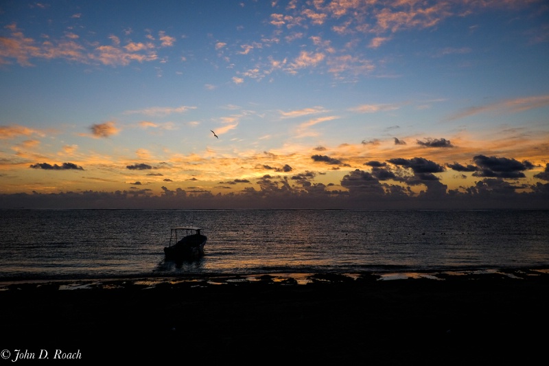 Dawn in Puerto Morelos