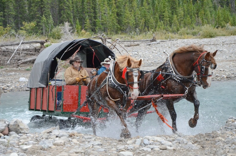 The river crossing - ID: 15075588 © Doug Newman