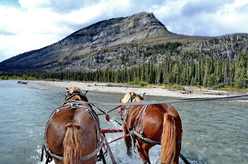 One of the many river crossings - ID: 15075590 © Doug Newman