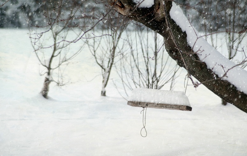 Swing in the Snow