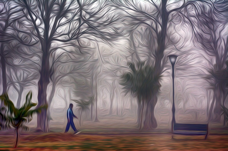 Walking in the Fogy Forest