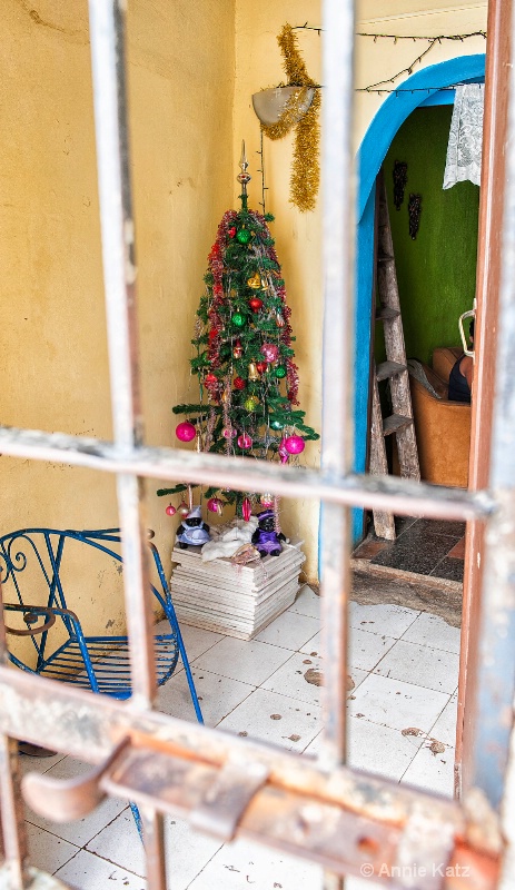 cuban christmas - ID: 15076263 © Annie Katz