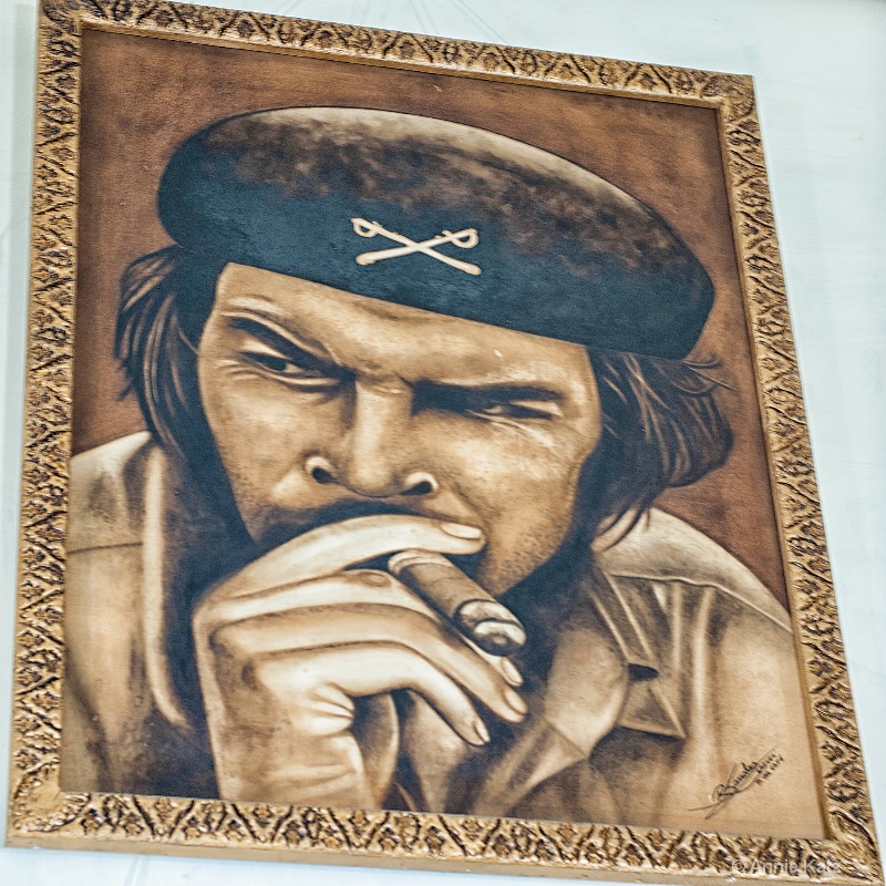 portrait of che - ID: 15076684 © Annie Katz