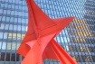 The Flamingo