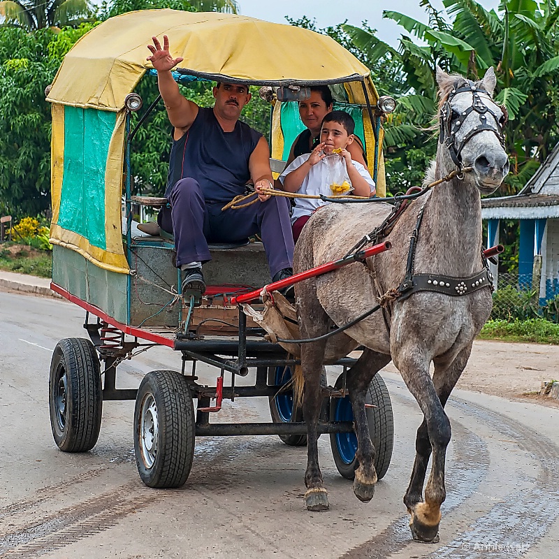 horse carriage - ID: 15076816 © Annie Katz