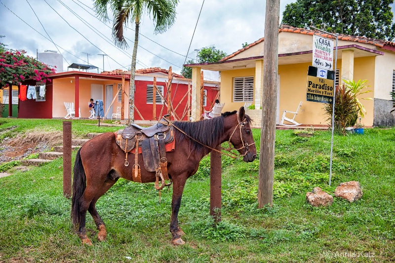 vinales rooms to rent with horse - ID: 15076838 © Annie Katz