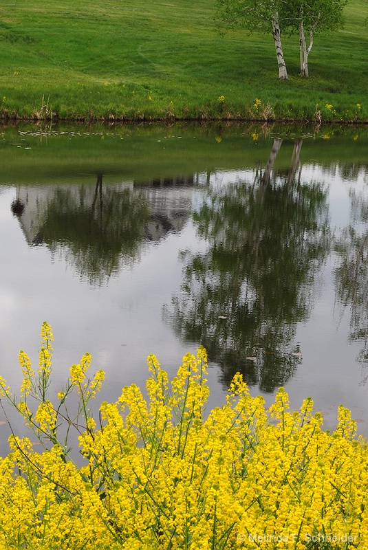 Farmhouse Reflected