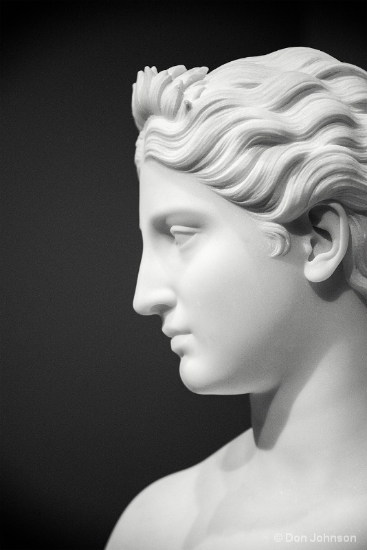 B&W NPG Statue Profile 1-15-16 068