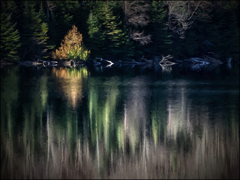 Reflections at Heart Lake