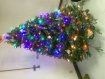 Christmas tree @ ...