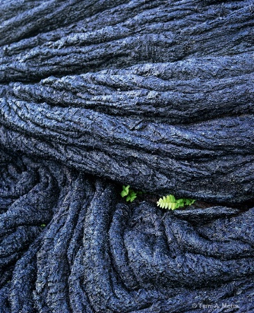 Lava Ropes