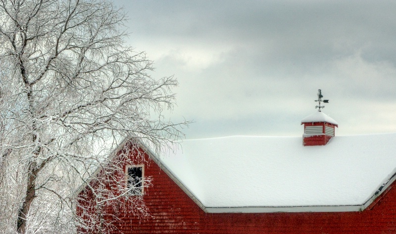 Barn Roof in Winter
