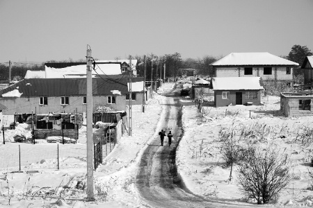 Winter from above