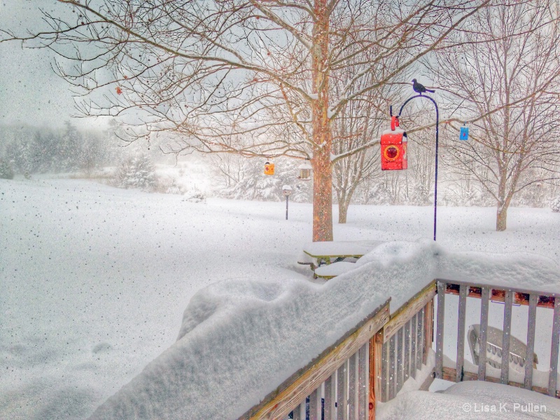 Birdhouse View