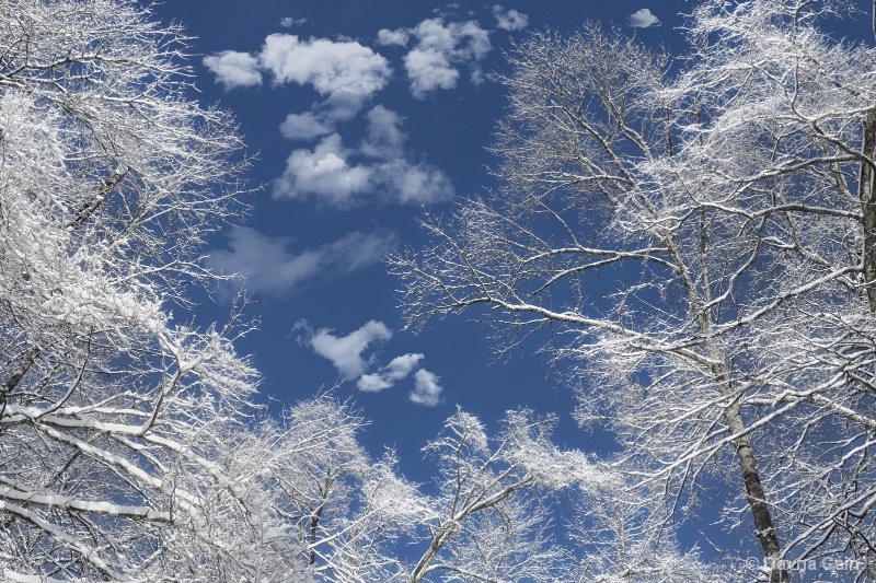 Blue Sky On A Winter Day