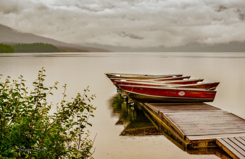 Ready and Waiting on Lake McDonald