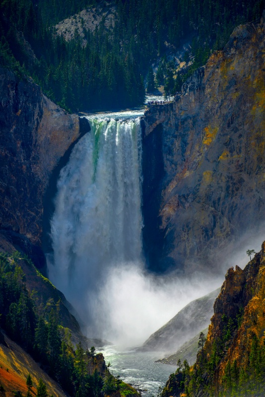 Yellowstone N.P.