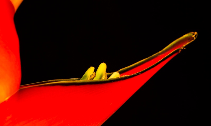 img4