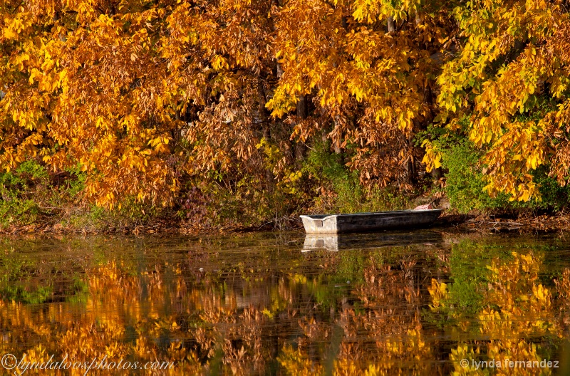 Boat with Leaves