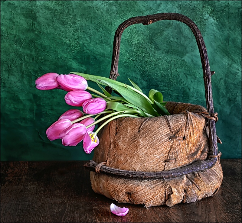 A Basket Of Pink Tulips