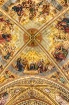 Beautiful Ceiling...