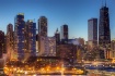 Navy Pier Lookout