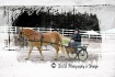 Out 4 a ride