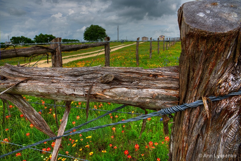 Over the Fence