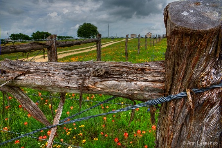 Over the Fence