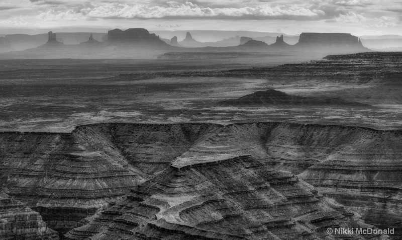 View from Muley Point, BW
