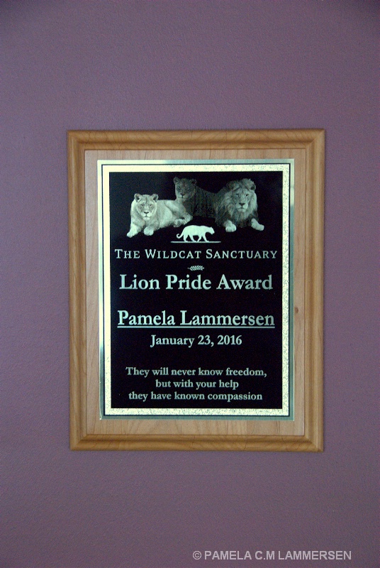 Lion Pride Award 