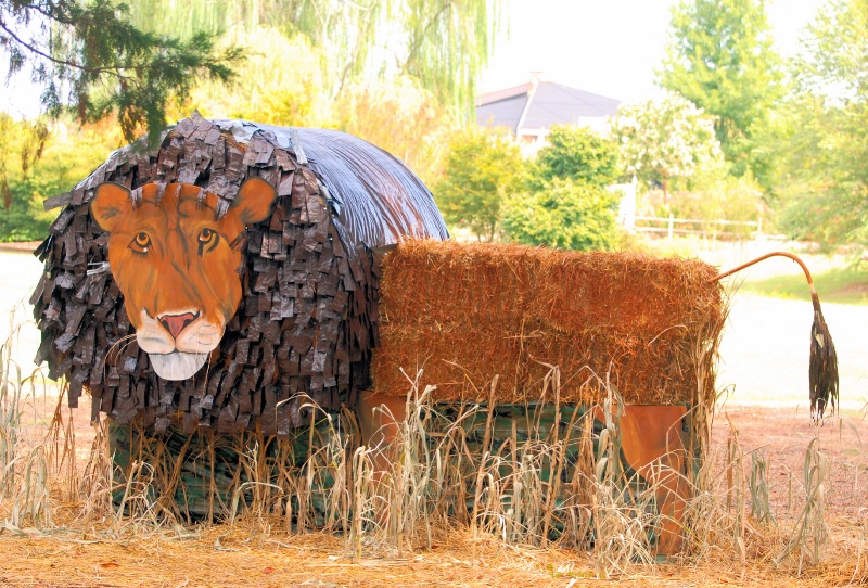A "BALE" OF TIGER!!