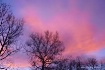 Winter on Fire