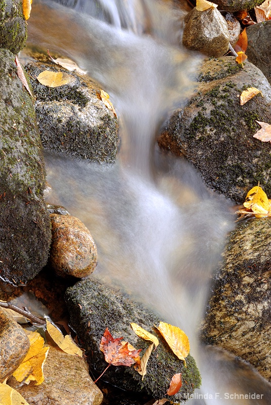 Fall Water Fall