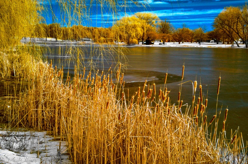 At the Lagoon in Winter #2