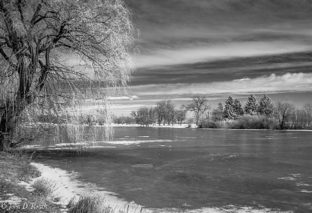 Winter at the lagoon - IR Monochrome
